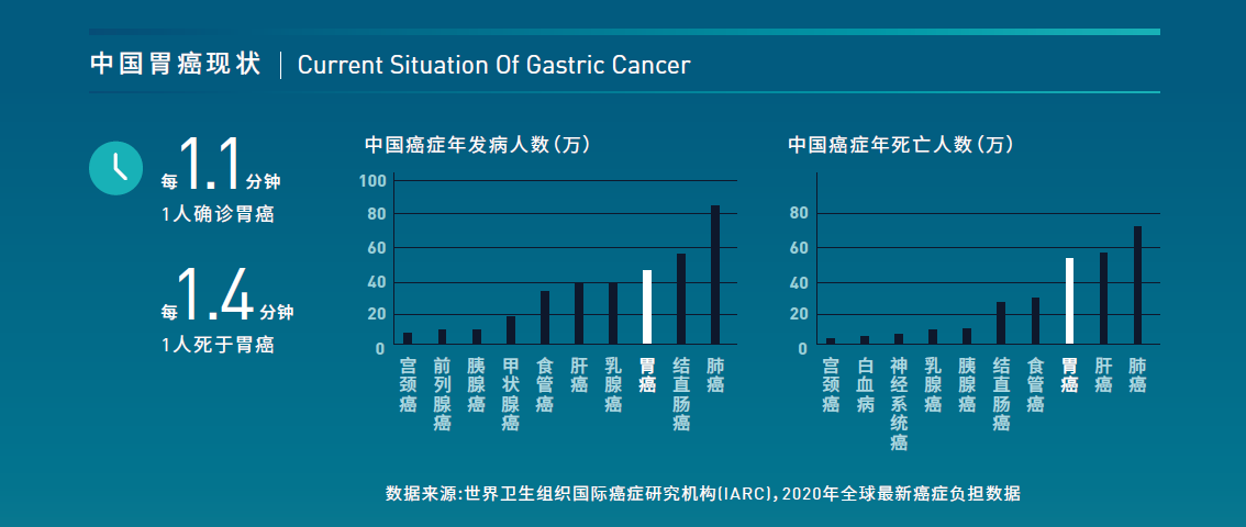 胃癌三项彩页-PGI-PGII-G17-jinnianhui金年会202203版-p2a-中国流行病学1134x480.png