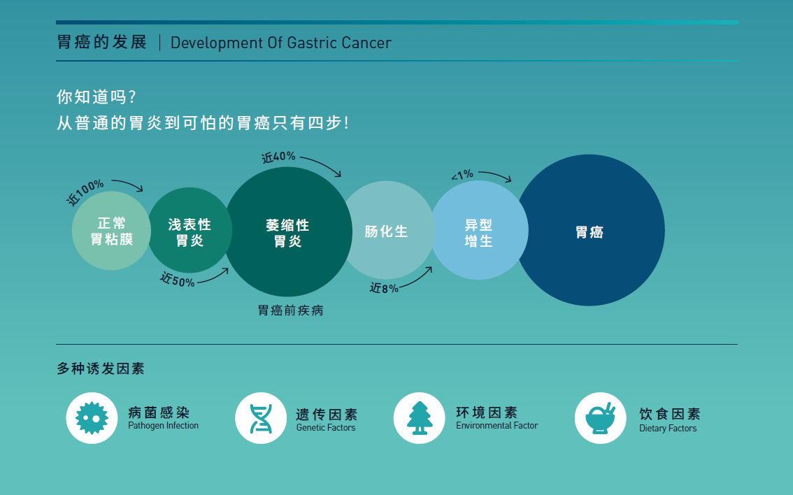 胃癌三项彩页-PGI-PGII-G17-jinnianhui金年会202203版-p2c-胃癌前的发展和诱发因素1134x708.png